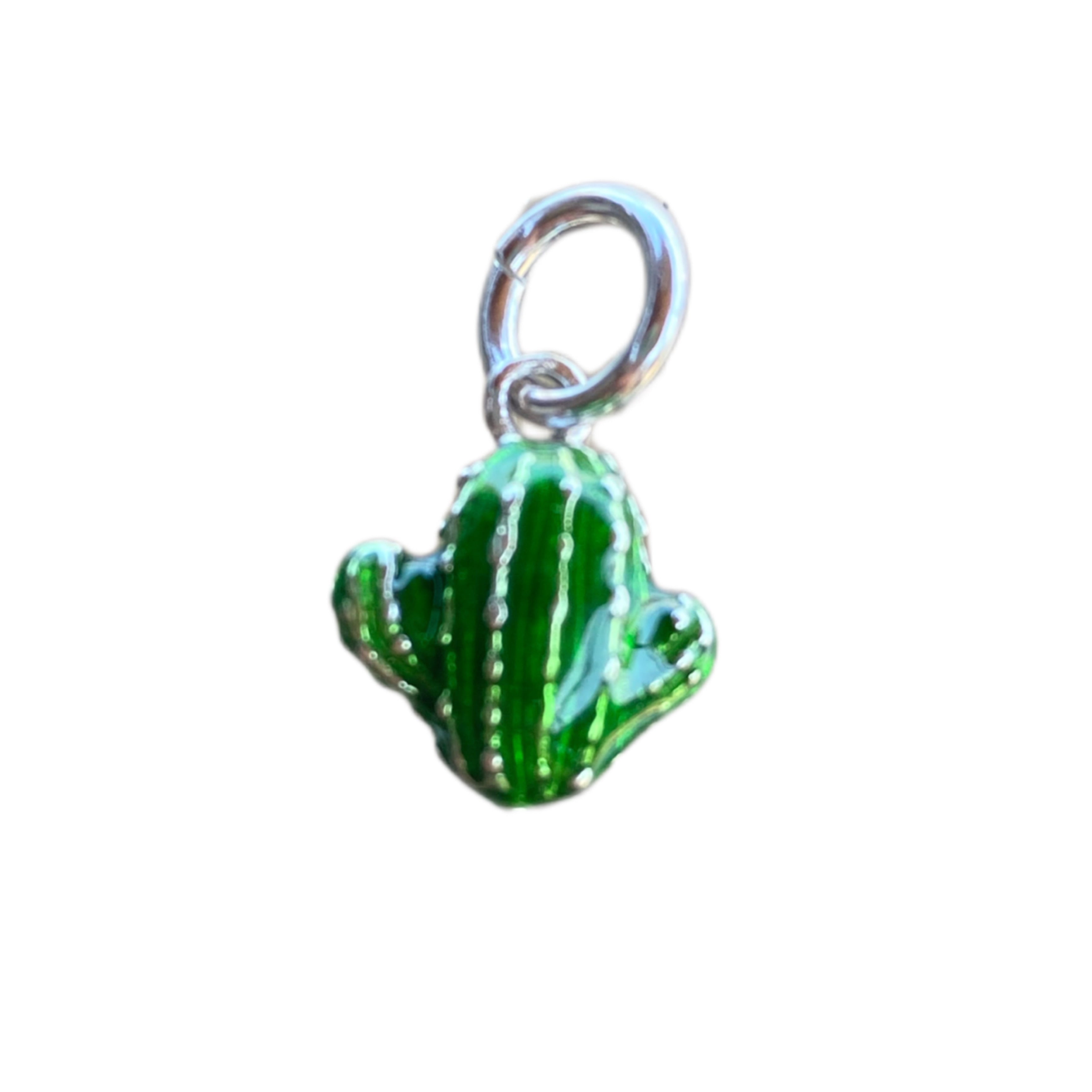 ciondolo cactus in argento 925 smaltato a caldo. RabiosaJewels
