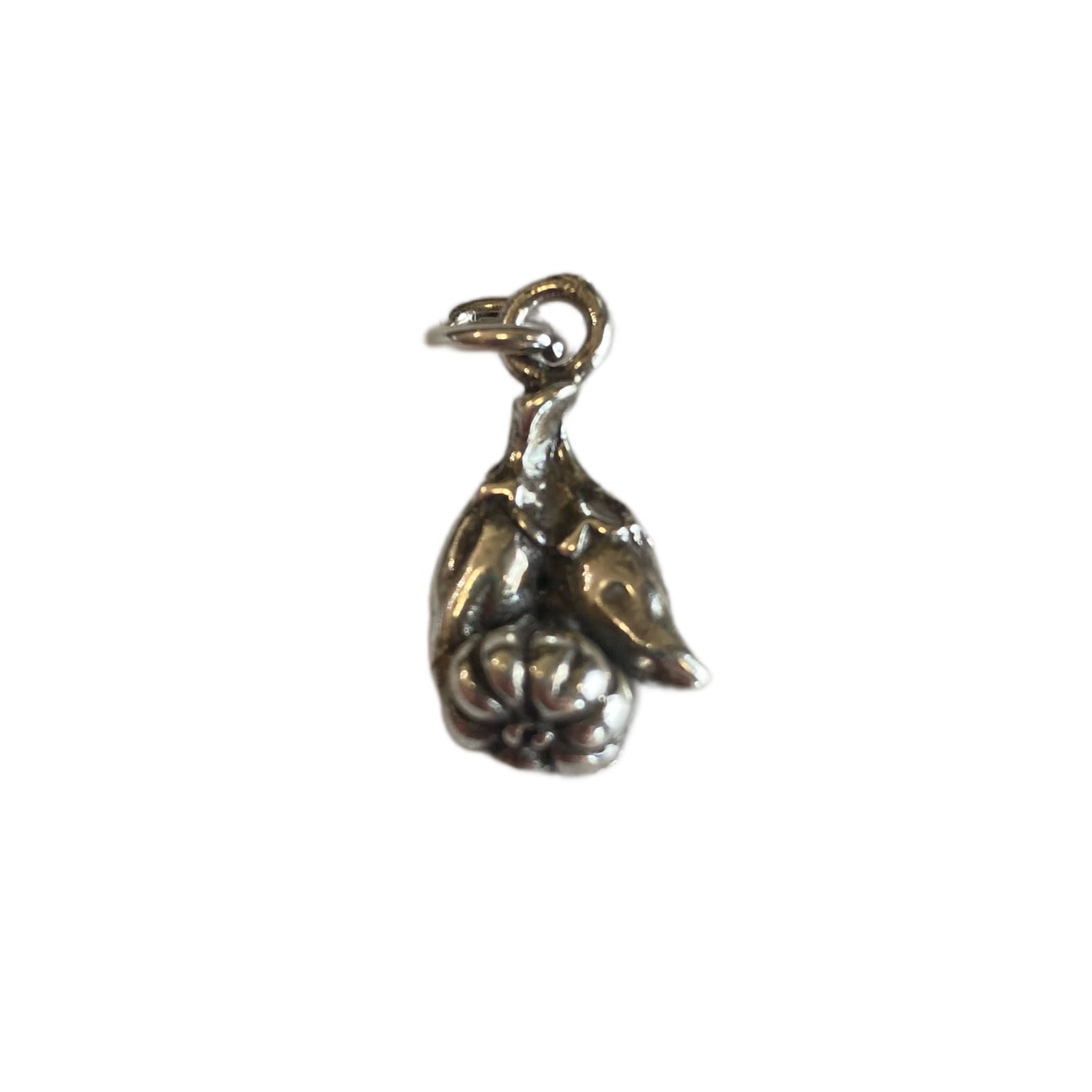 RabiosaJewels. ciondolo aglio con peperoncino in argento in versione brunita.